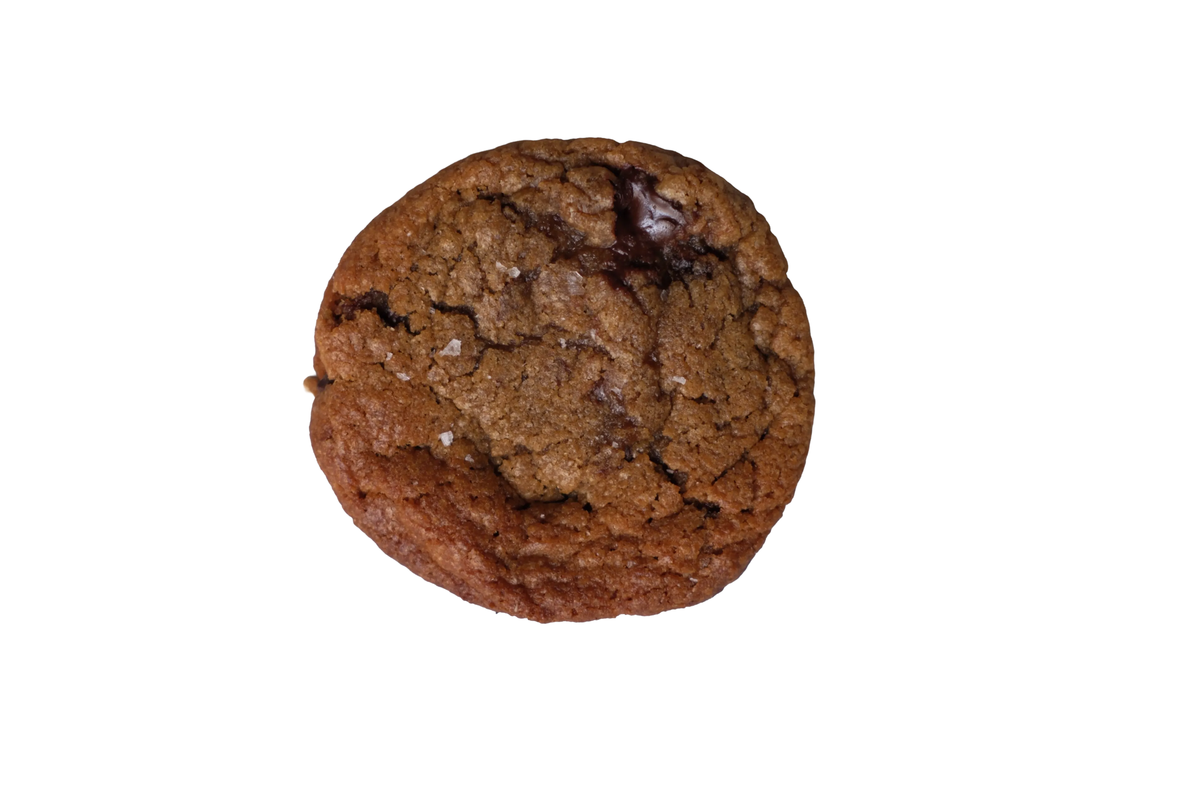 Illustrated chocolate chip cookie on a cream bakery card